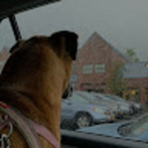 Meet your Posher, Luanne